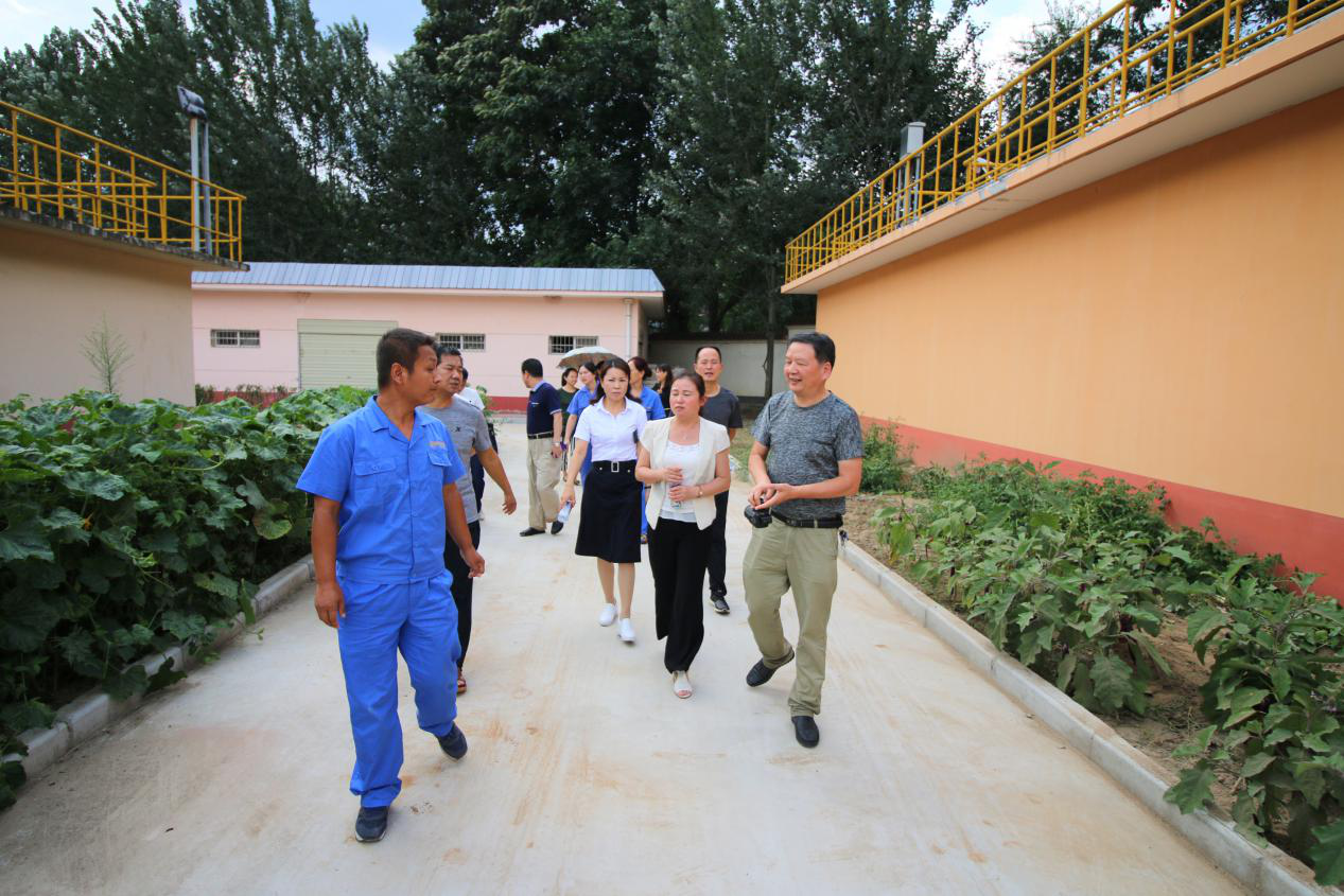 省爱卫办病媒生物防治专家组到水情形公司丹凤县污水处理厂检查事情 省爱卫办病媒生物防治专家组到水情形公司丹凤县污水处理厂检查事情