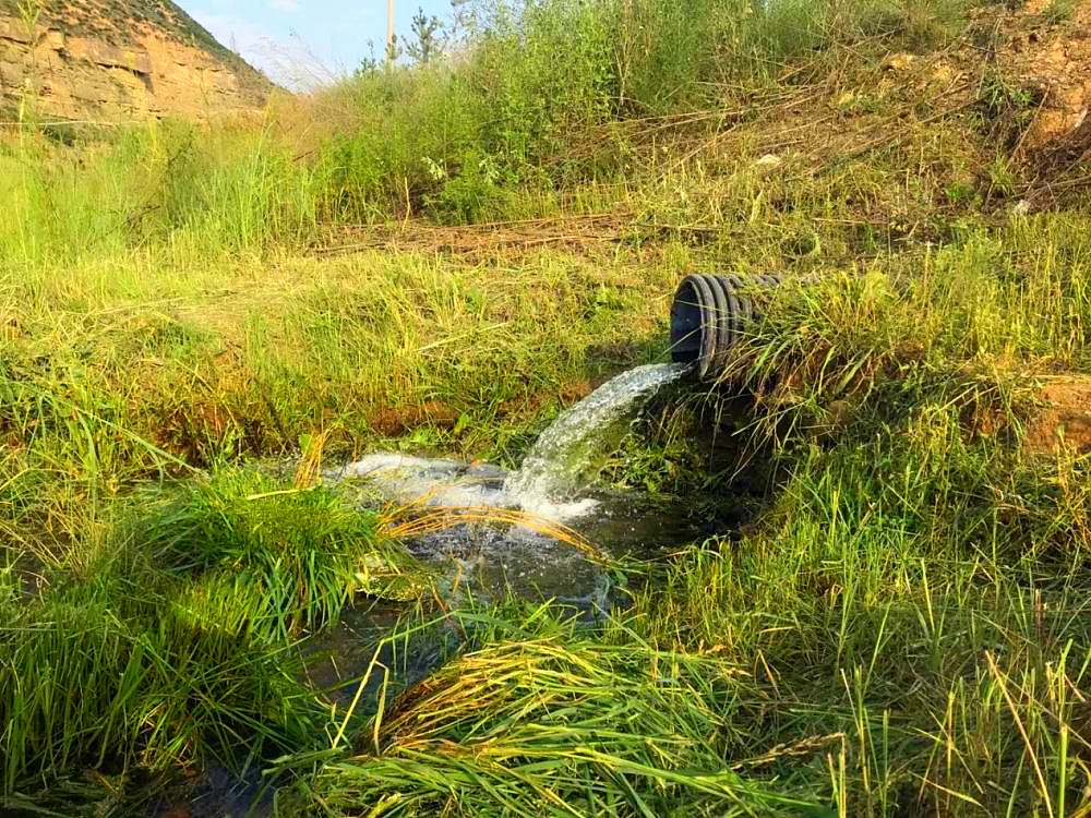 »ɫŷšabpayǮŶ๤ҵӮȾιս