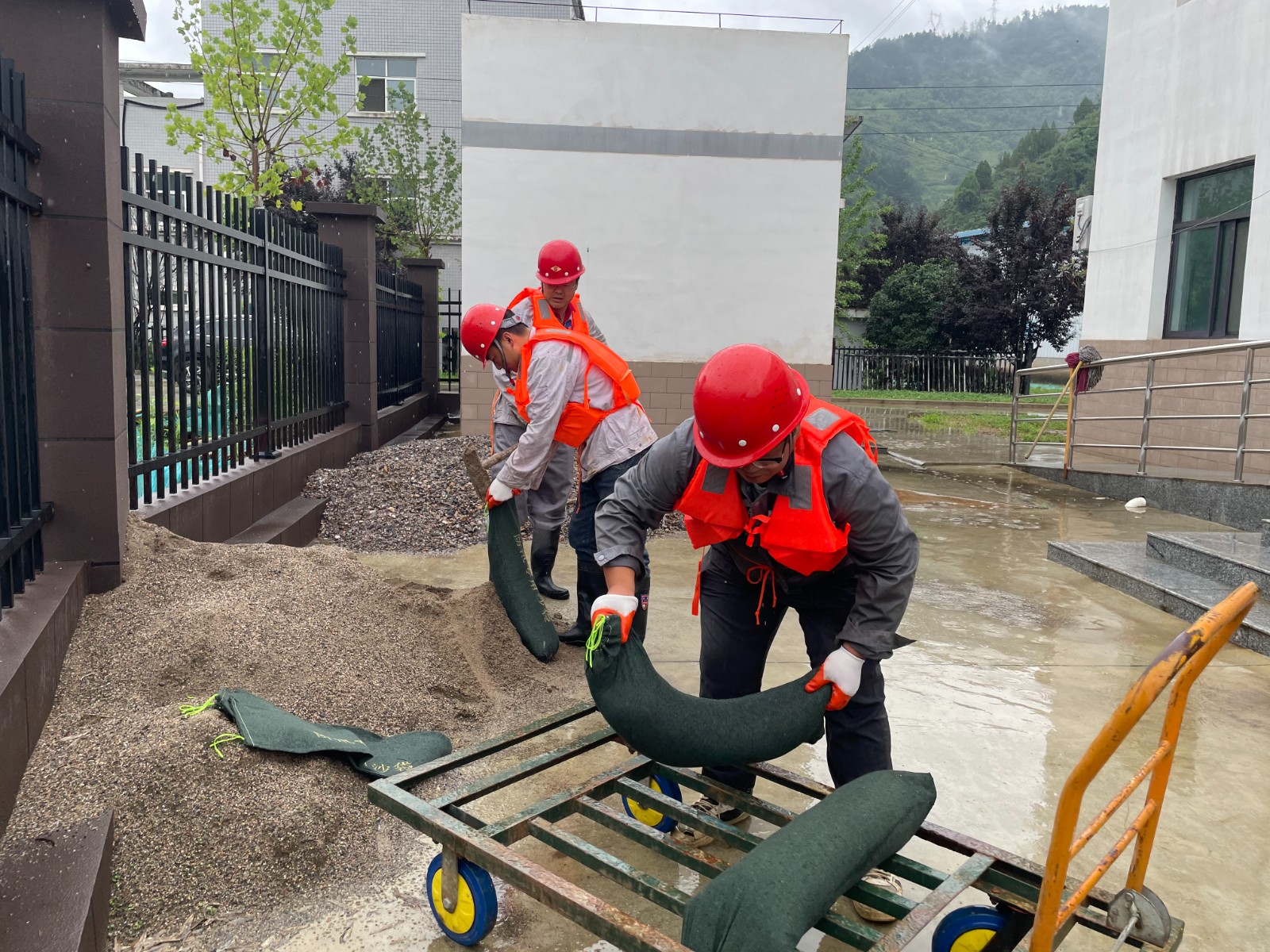 ˮι˾иǿ̳ ηѴ徲